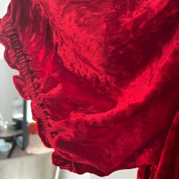 ModCloth 3X crushed velvet ruffle top - Picture 3 of 5
